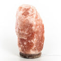 Himalayan Salt Lamp 40-50 lbs